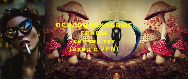 apvp Абинск