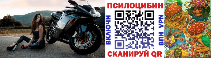 Галлюциногенные грибы мицелий  где купить наркоту  OMG зеркало  Кандалакша 